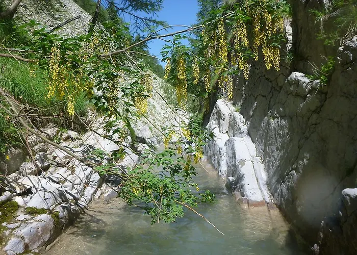 Guest house Belle Valette